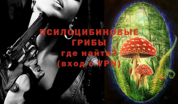 спайс Алзамай