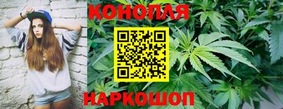гидра Дубна