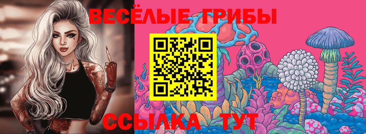 Псилоцибиновые грибы MAGIC MUSHROOMS  Вход с VPN  Мирный 